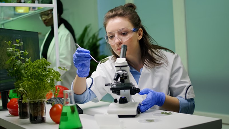 Career guidance for a position Life sciences researcher